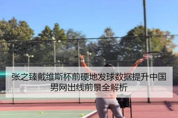 张之臻戴维斯杯前硬地发球数据提升中国男网出线前景全解析